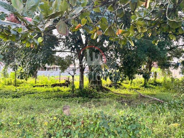 Área para Venda em Caraguatatuba - 2