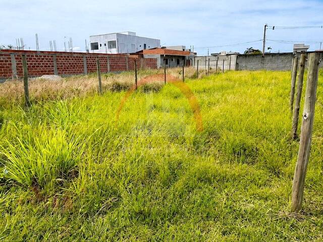 Área para Venda em Caraguatatuba - 3
