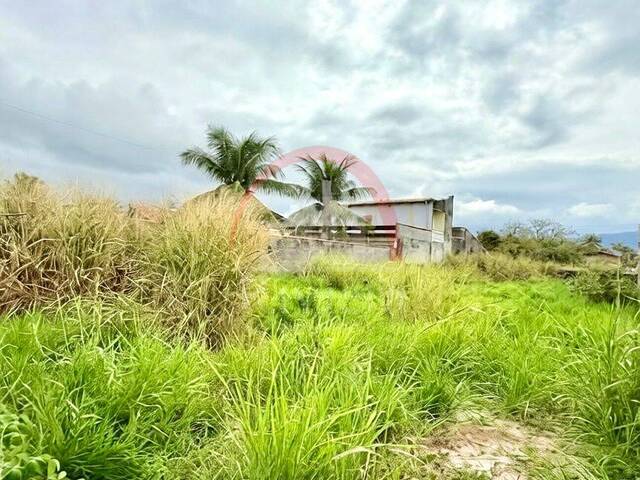 Área para Venda em Caraguatatuba - 3
