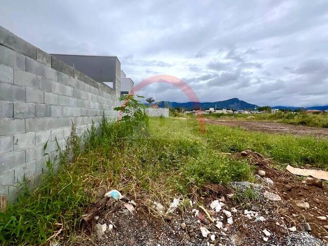 #V2300283 - Área para Venda em Caraguatatuba - SP - 1
