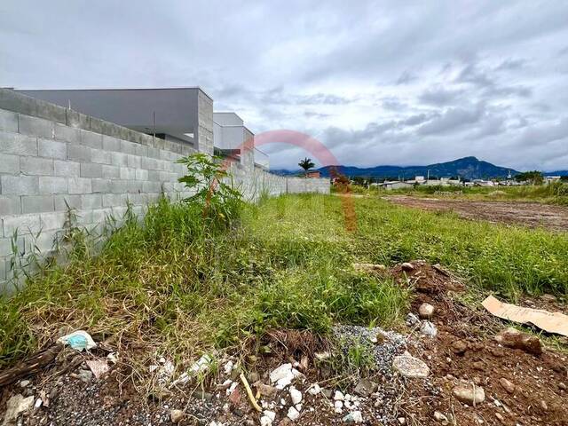 #V2300283 - Área para Venda em Caraguatatuba - SP - 2