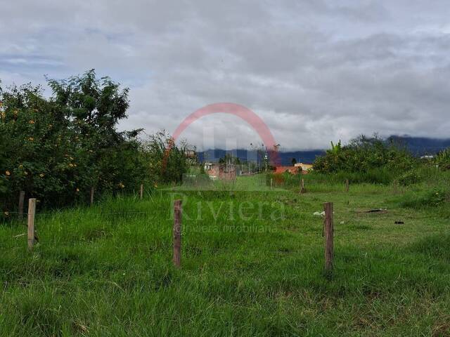 #V2300285 - Área para Venda em Caraguatatuba - SP - 3