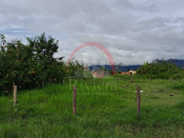 #V2300285 - Área para Venda em Caraguatatuba - SP - 1