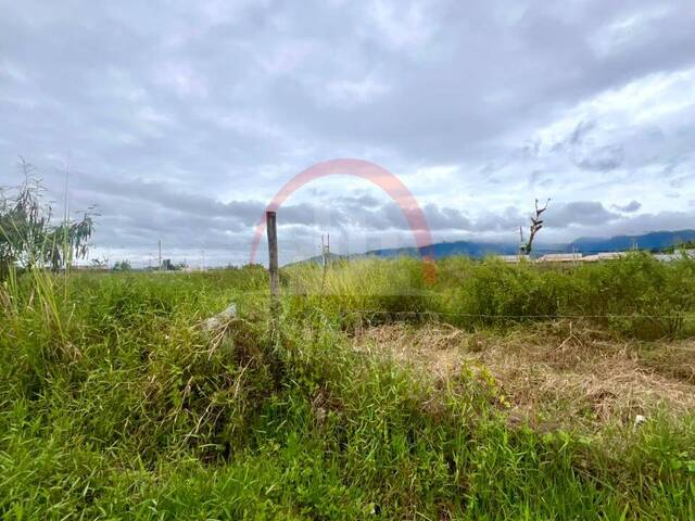#V2500353 - Área para Venda em Caraguatatuba - SP - 2