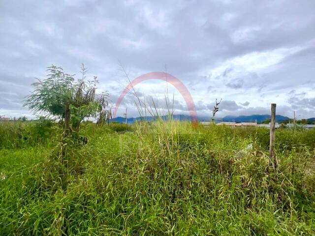 Área para Venda em Caraguatatuba - 5
