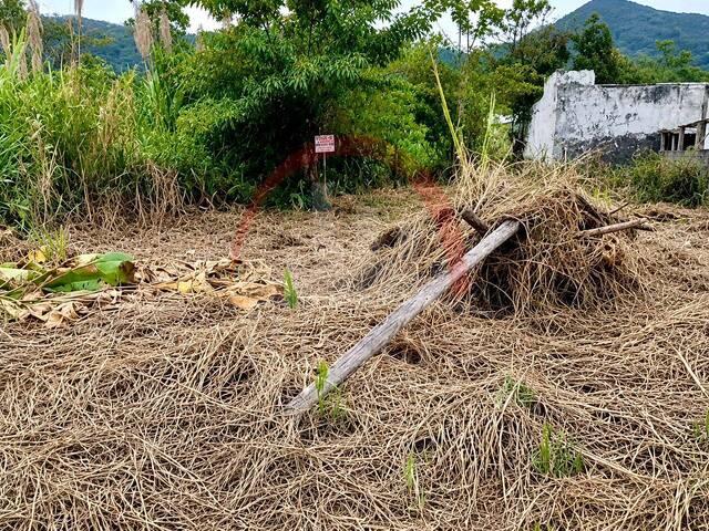 Área para Venda em Ubatuba - 3