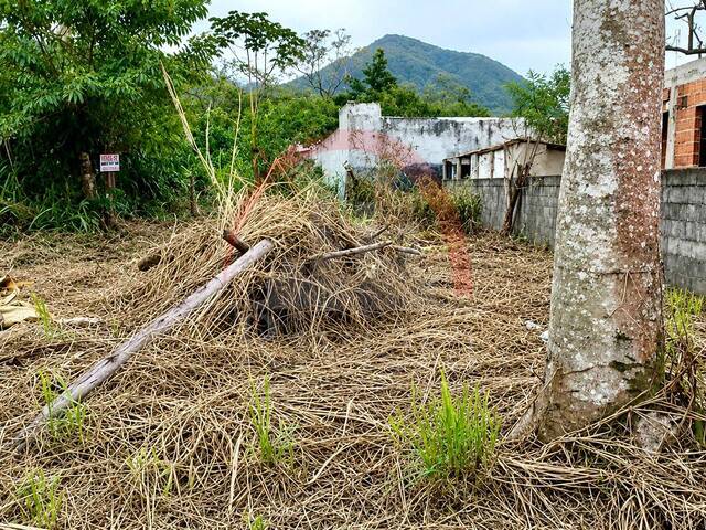 Área para Venda em Ubatuba - 4