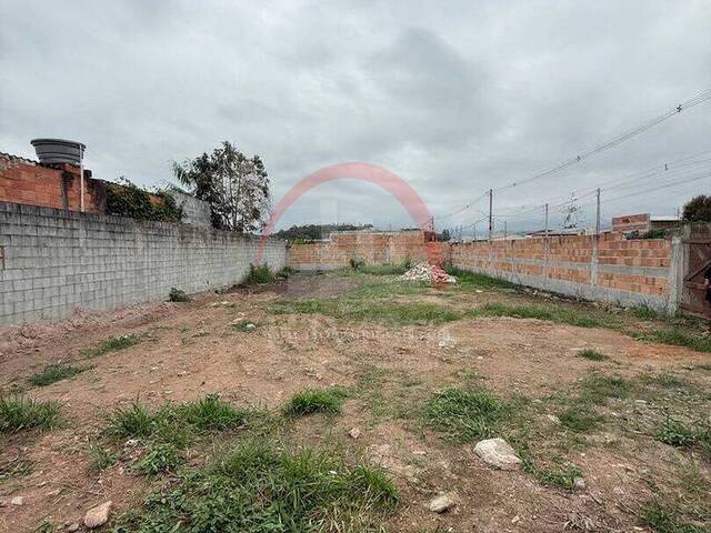#V2500356 - Área para Venda em Caraguatatuba - SP - 1