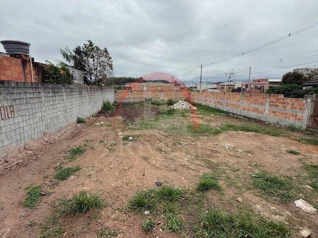 #V2500356 - Área para Venda em Caraguatatuba - SP - 3