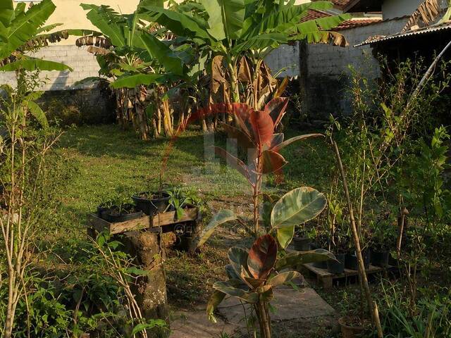 #V2500370 - Área para Venda em Caraguatatuba - SP - 2