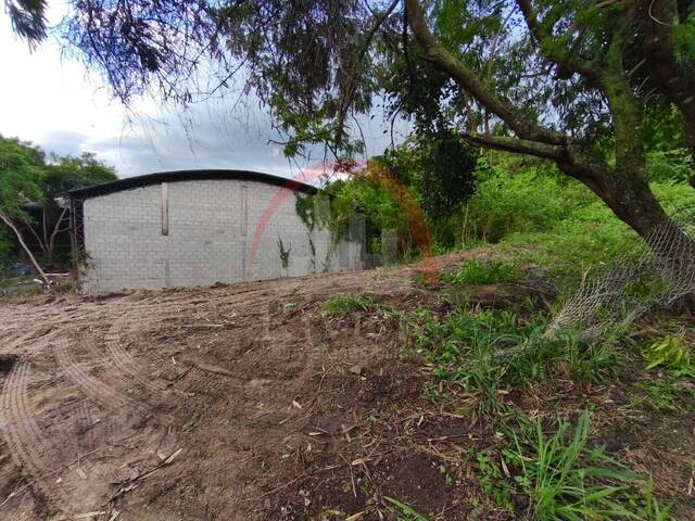 Área para Venda em São Sebastião - 3