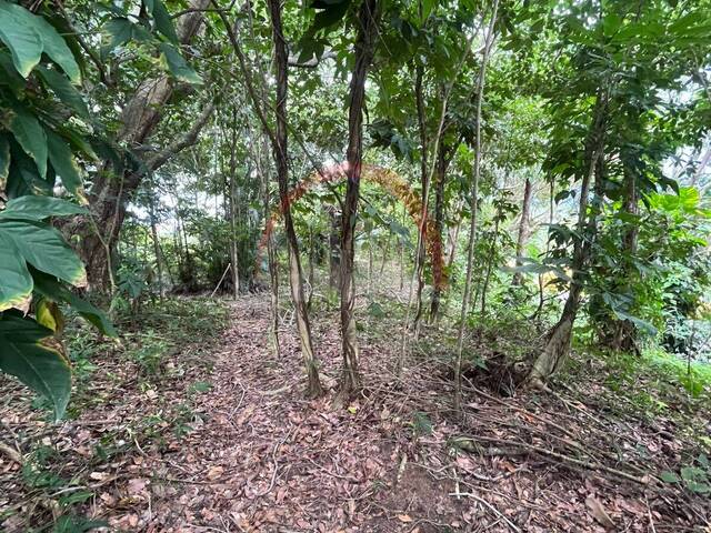 Terreno para Venda em São Sebastião - 2