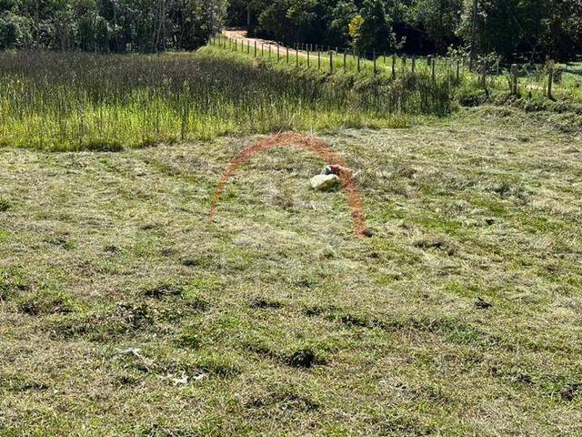 Chácara para Venda em Natividade da Serra - 4