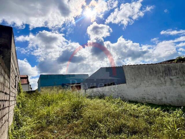 Área para Venda em São Sebastião - 4