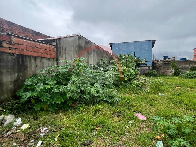 Terreno para Venda em Caraguatatuba - 2