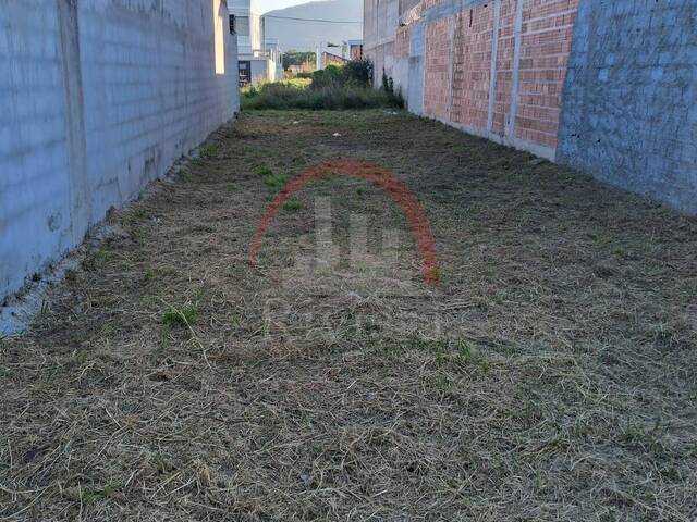 Área para Venda em Caraguatatuba - 2