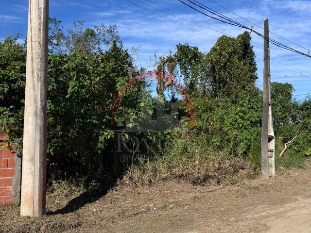Área para Venda em Caraguatatuba - 4