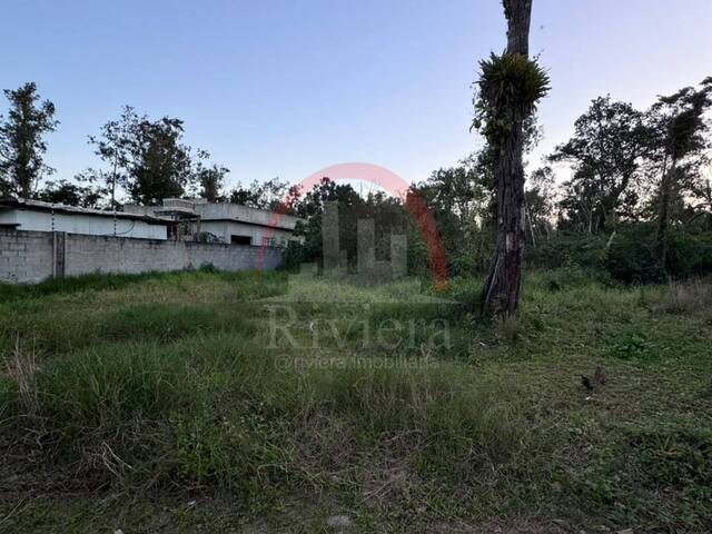 Venda em Balneàrio dos Golfinhos - Caraguatatuba