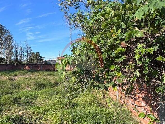 Terreno para Venda em Caraguatatuba - 2