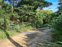 #ILHA-V-T01 - Terreno para Venda em Ilhabela - SP - 2