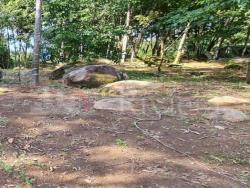 #ILHA-V-T01 - Terreno para Venda em Ilhabela - SP - 3