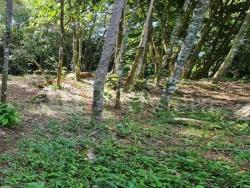 Terreno para Venda em Ilhabela - 4