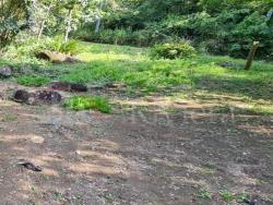 Terreno para Venda em Ilhabela - 5