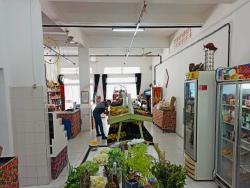 #BOI-V-SB11 - Sala para Venda em São Sebastião - SP - 1