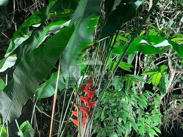 Casa em condomínio para Venda em São Sebastião - 3