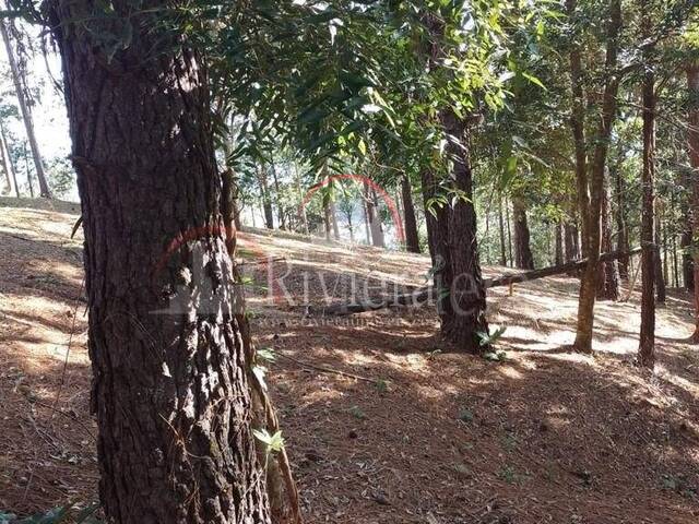 Terreno para Venda em São Sebastião - 2