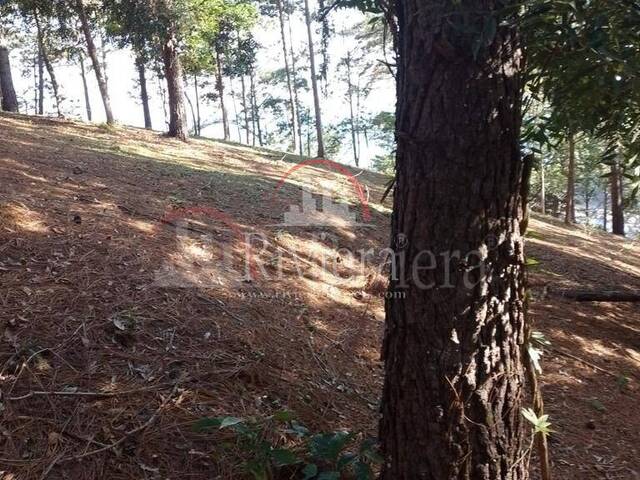 Terreno para Venda em São Sebastião - 4