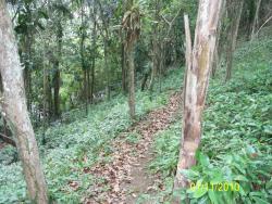 Área para Venda em São Sebastião - 4