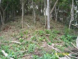 Área para Venda em São Sebastião - 5