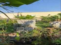 #CAR.V.A10 - Terreno para Venda em Caraguatatuba - SP - 2