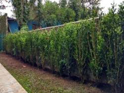 Casa para Venda em São Sebastião - 3