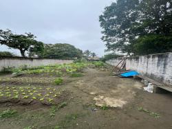 Terreno para Venda em Caraguatatuba - 3
